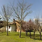 Aleanna Nocera Umbra