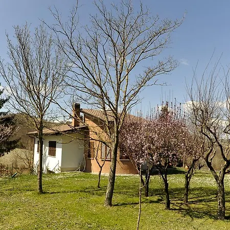 Aleanna Nocera Umbra